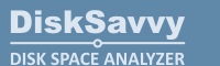 DiskSavvy Logo