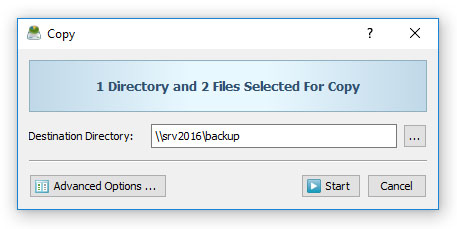DiskSavvy File Copy Operations