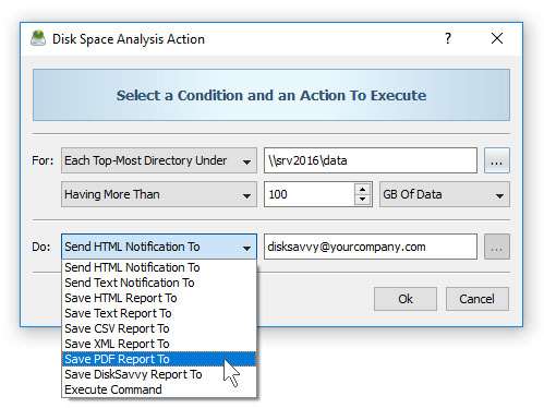 DiskSavvy Server Disk Space Analysis Action