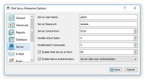 DiskSavvy Server Ports Configuration Options