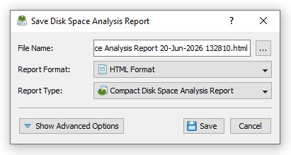 DiskSavvy Save Disk Space Analysis Report