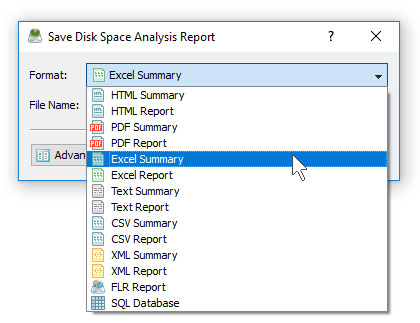 DiskSavvy Save Disk Space Analysis Excel Report