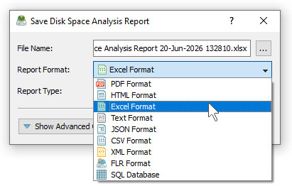 DiskSavvy Save Disk Space Analysis Excel Report