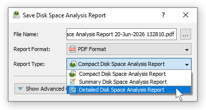 DiskSavvy Save Disk Space Analysis PDF Report